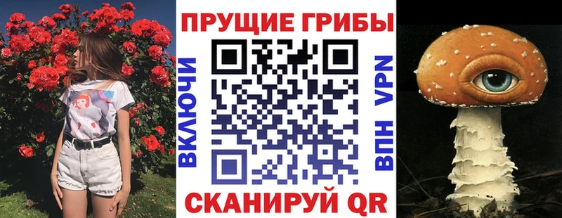 купить наркоту  ОМГ ОМГ как войти  Псилоцибиновые грибы прущие грибы  Сасово 