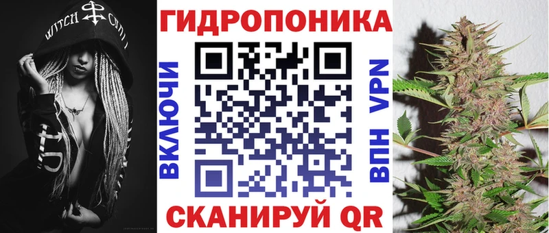 хочу   Сасово  Конопля марихуана 